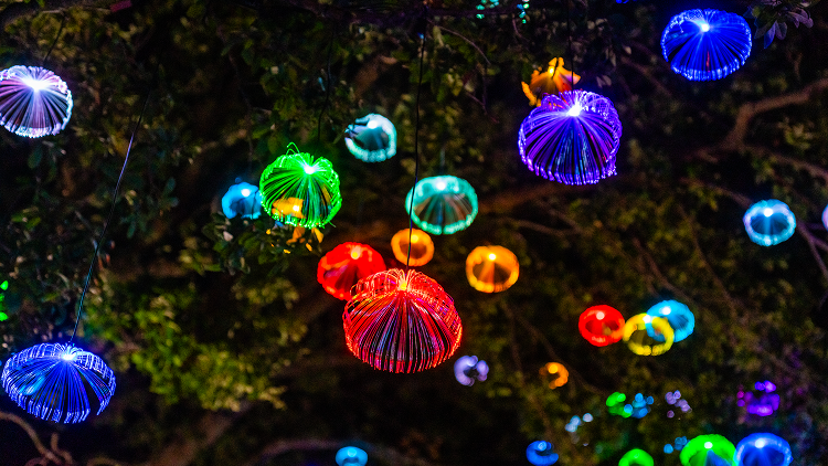 Adventure Island Launches AquaGlow: A Neon Night Swim Experience Like No Other