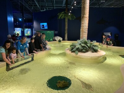 What’s New in Daytona Beach for Summer 2025: Attractions, Events & Coastal Fun