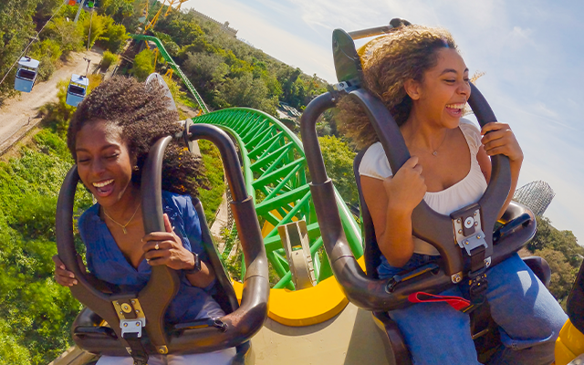 Play, Eat, Drink, & Skip the Line: Busch Gardens Tampa’s Best Day Ever Deal